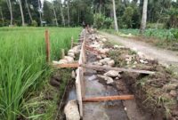Pekerjaan Proyek BLB 5 Irigasi oleh Balai Wilayah Sungai Sulawesi 1 Manado, di Desa Bongkudai, Kecamatan Modayag Barat